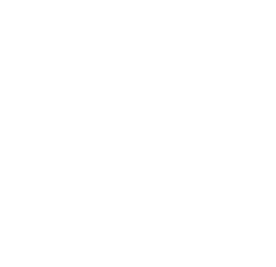 Expertise Portuária  Anos de experiência em movimentações dentro e fora do porto. Cuidamos de cada detalhe logístico com precisão técnica.